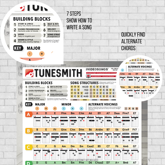 Tunesmith Guitar Chord Progressions Poster (24" x 36")