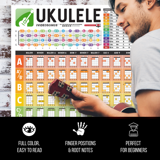 Ukulele Chords Poster (24" x 36")